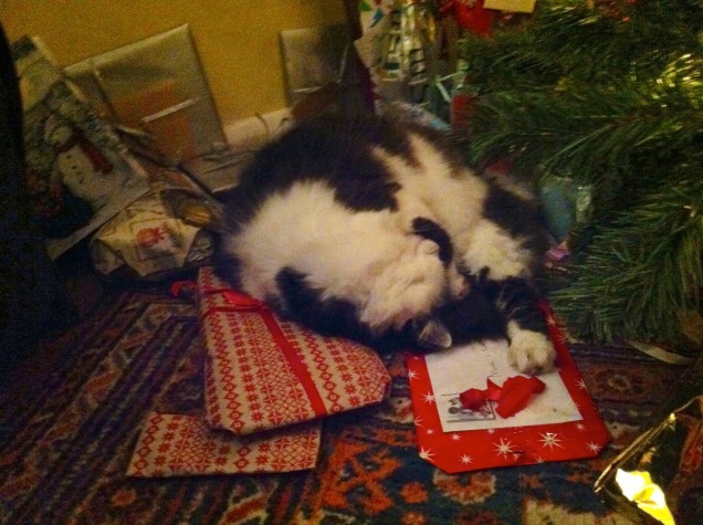 Max asleep on the Christmas presents